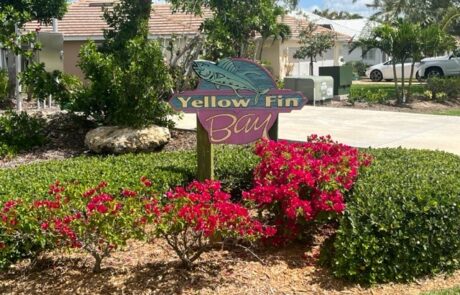 Yellowfin Bay